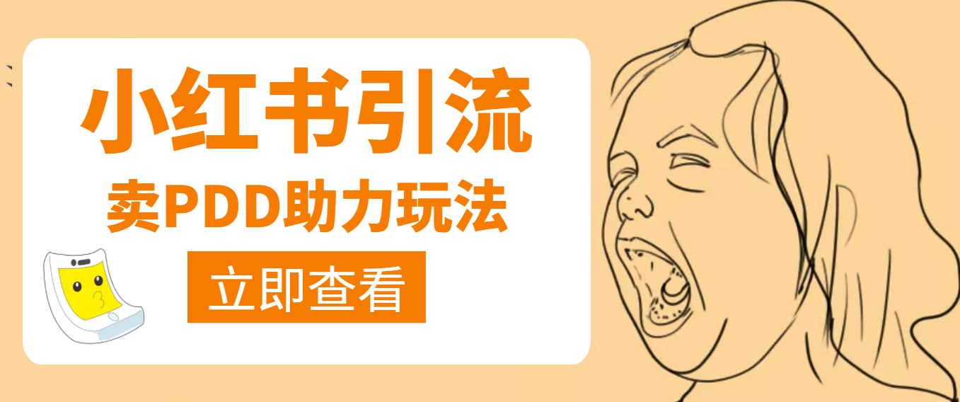 利用小红书卖拼多多助力轻创网-网创项目资源站-副业项目-创业项目-搞钱项目轻创网