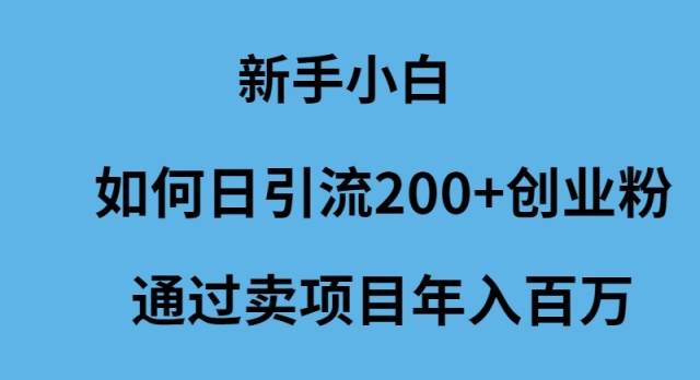 新手小白如何日引流200+创业粉通过卖项目年入百万轻创网-网创项目资源站-副业项目-创业项目-搞钱项目轻创网