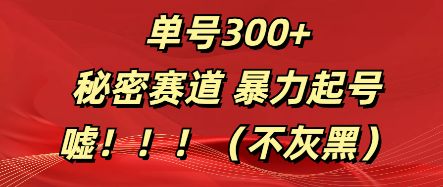 单号300+  秘密赛道 暴力起号  （不灰黑）轻创网-网创项目资源站-副业项目-创业项目-搞钱项目轻创网