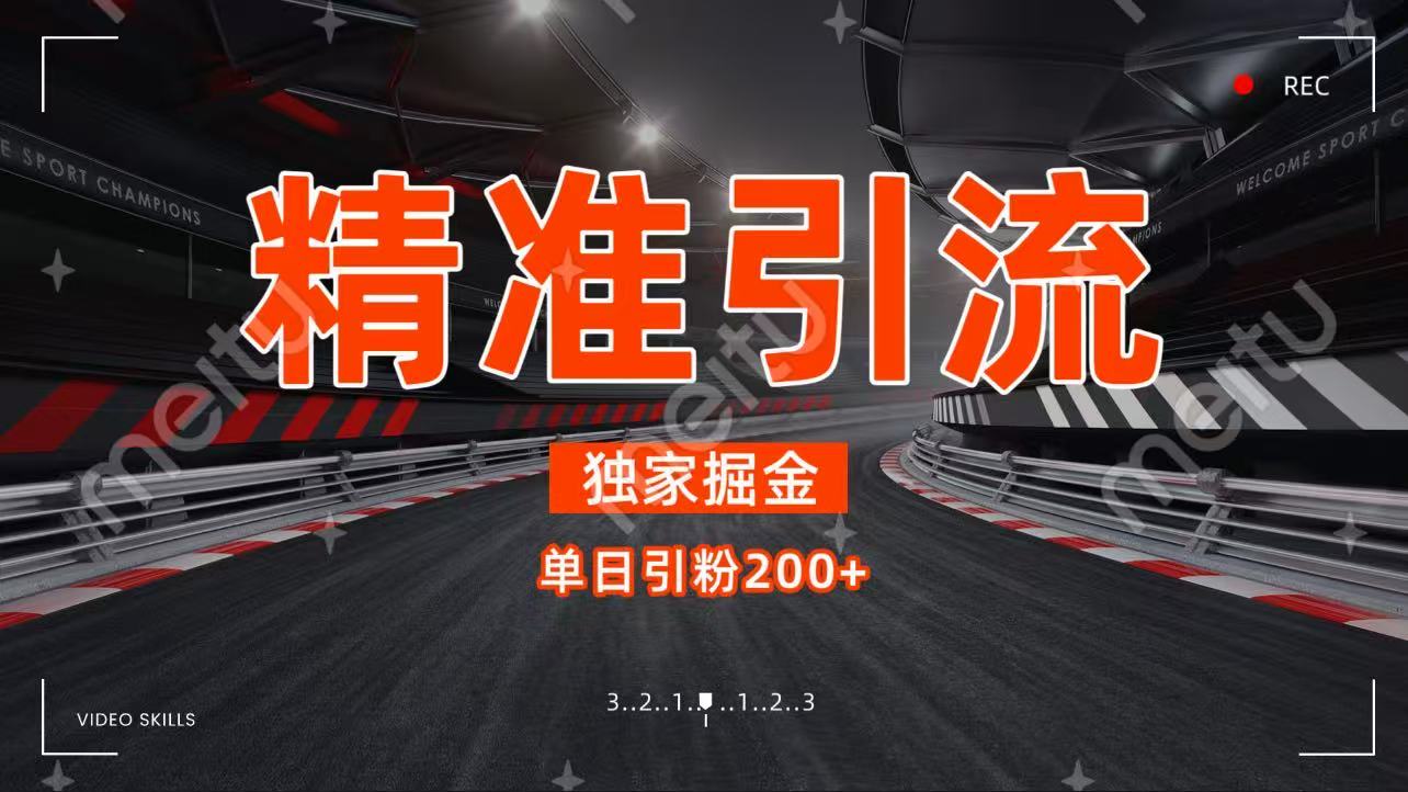 独家野路子精准引流 每日200+轻创网-网创项目资源站-副业项目-创业项目-搞钱项目轻创网