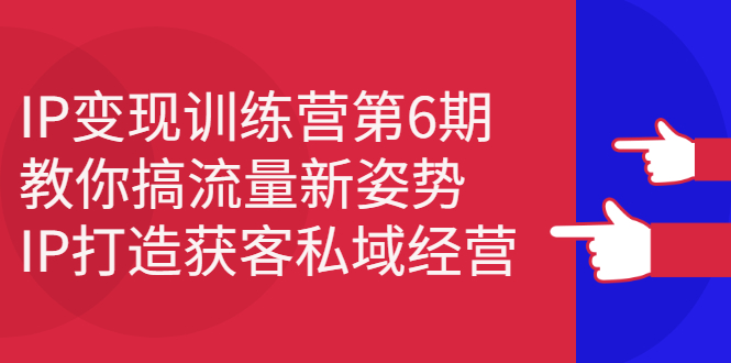 IP变现训练营第6期：教你搞流量新姿势，IP打造获客私域经营轻创网-网创项目资源站-副业项目-创业项目-搞钱项目轻创网