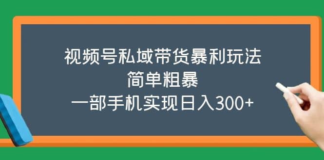 视频号私域带货暴利玩法，简单粗暴轻创网-网创项目资源站-副业项目-创业项目-搞钱项目轻创网
