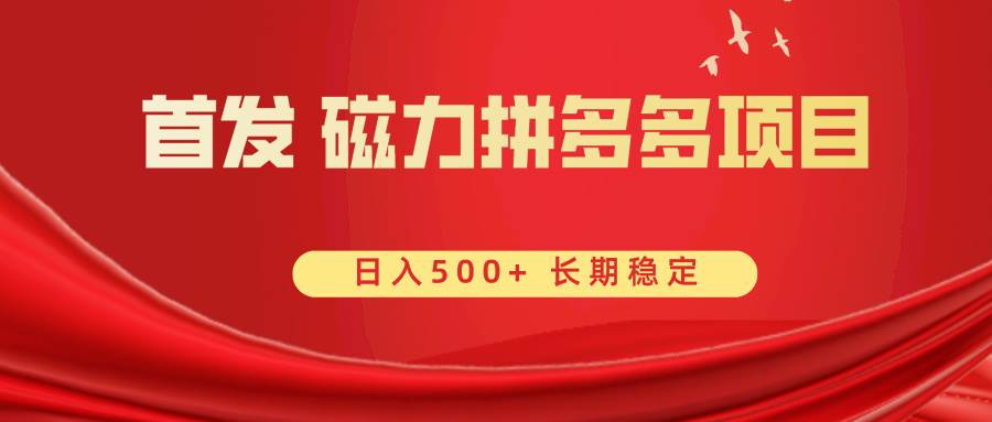 首发 磁力拼多多自撸  日入500+轻创网-网创项目资源站-副业项目-创业项目-搞钱项目轻创网