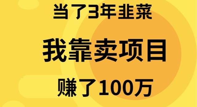 当了3年韭菜，我靠卖项目赚了100万轻创网-网创项目资源站-副业项目-创业项目-搞钱项目轻创网