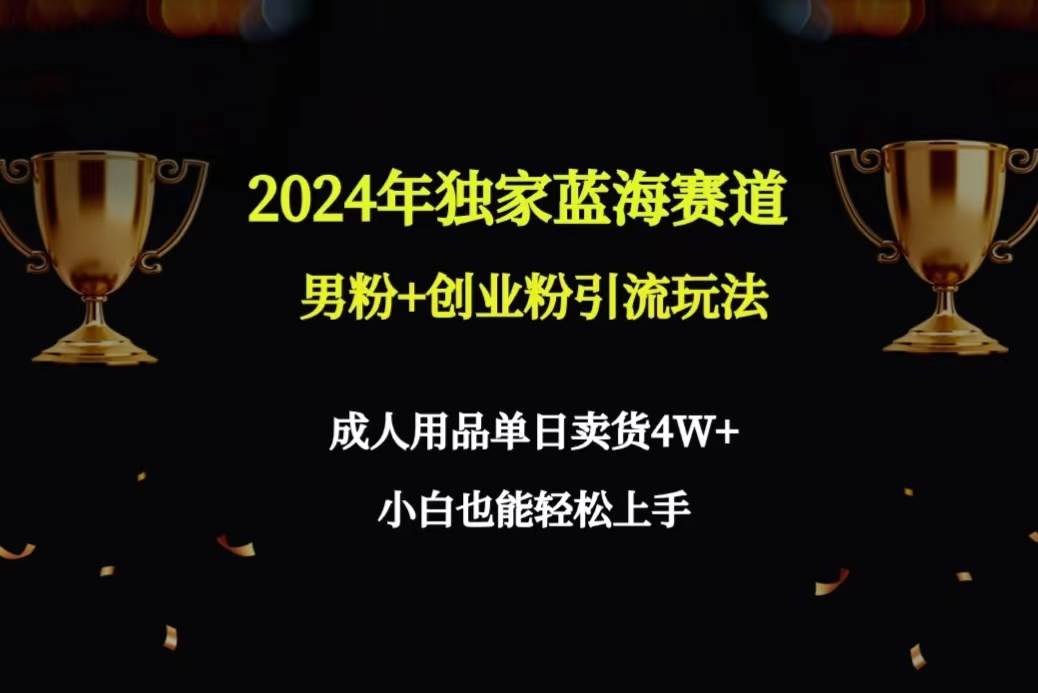 2024年独家蓝海赛道男粉+创业粉引流玩法，成人用品单日卖货4W+保姆教程轻创网-网创项目资源站-副业项目-创业项目-搞钱项目轻创网