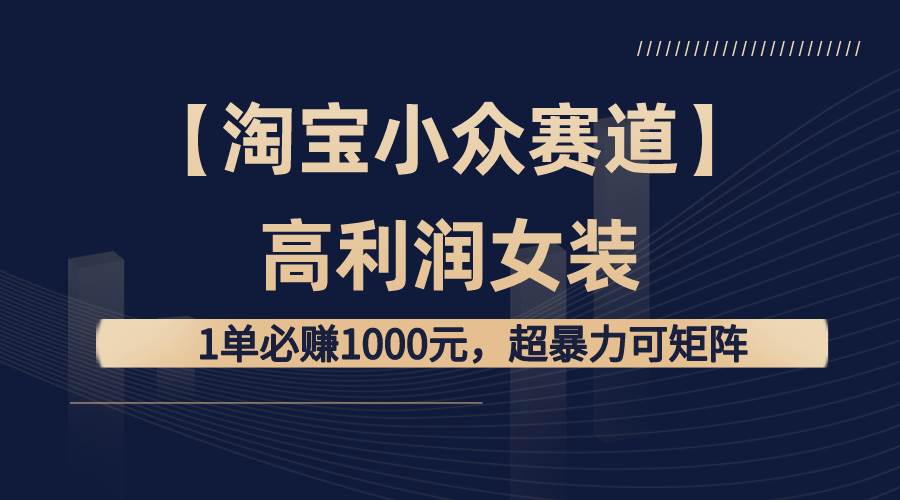 【淘宝小众赛道】高利润女装：1单必赚1000元，超暴力可矩阵轻创网-网创项目资源站-副业项目-创业项目-搞钱项目轻创网