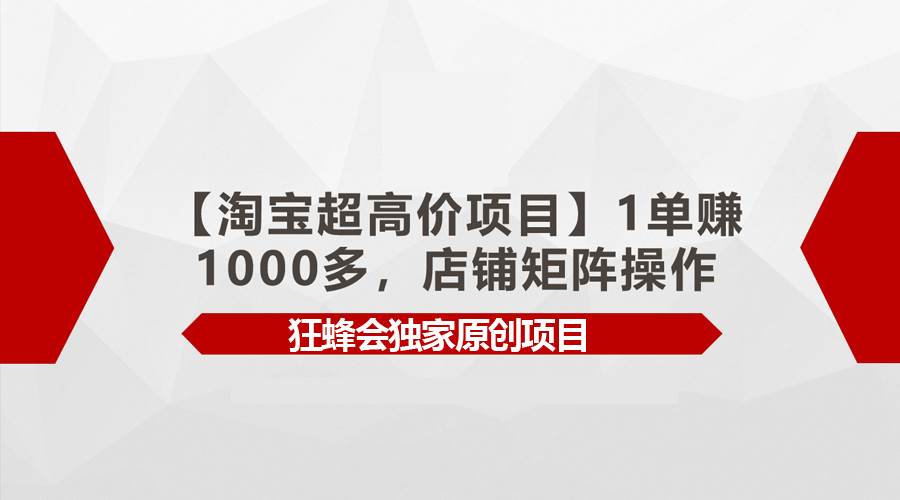 【淘宝超高价项目】1单赚1000多，店铺矩阵操作轻创网-网创项目资源站-副业项目-创业项目-搞钱项目轻创网