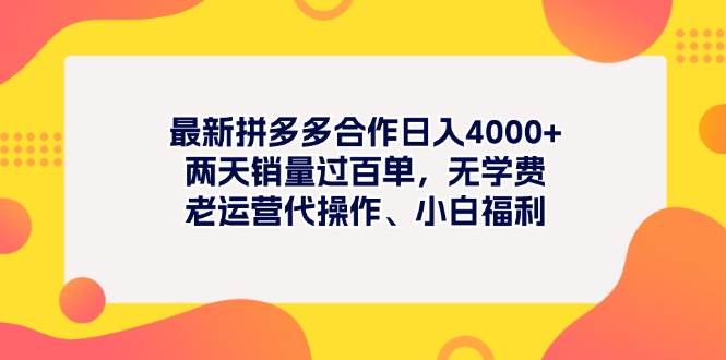 最新拼多多项目日入4000+两天销量过百单，无学费、老运营代操作、小白福利轻创网-网创项目资源站-副业项目-创业项目-搞钱项目轻创网