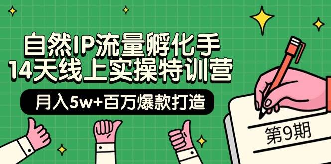 自然IP流量孵化手 14天线上实操特训营【第9期】月入5w+百万爆款打造 (74节)轻创网-网创项目资源站-副业项目-创业项目-搞钱项目轻创网