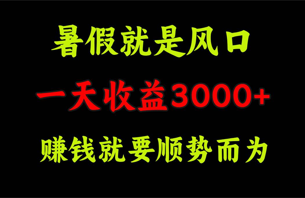 一天收益3000+ 赚钱就是顺势而为，暑假就是风口轻创网-网创项目资源站-副业项目-创业项目-搞钱项目轻创网