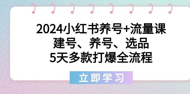 2024小红书养号+流量课：建号、养号、选品，5天多款打爆全流程轻创网-网创项目资源站-副业项目-创业项目-搞钱项目轻创网