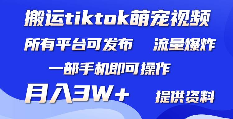 搬运Tiktok萌宠类视频，一部手机即可。所有短视频平台均可操作，月入3W+轻创网-网创项目资源站-副业项目-创业项目-搞钱项目轻创网