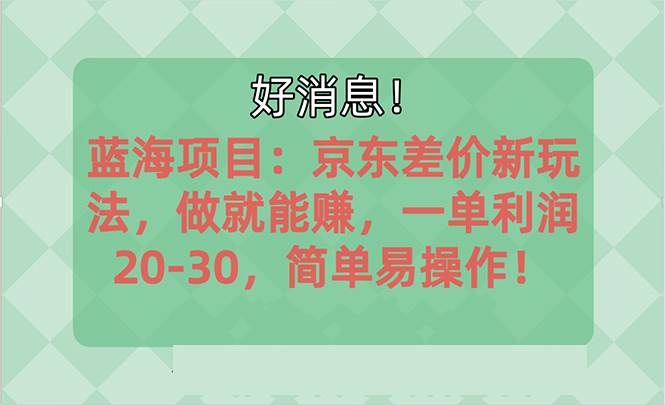 越早知道越能赚到钱的蓝海项目：京东大平台操作，一单利润20-30，简单…轻创网-网创项目资源站-副业项目-创业项目-搞钱项目轻创网
