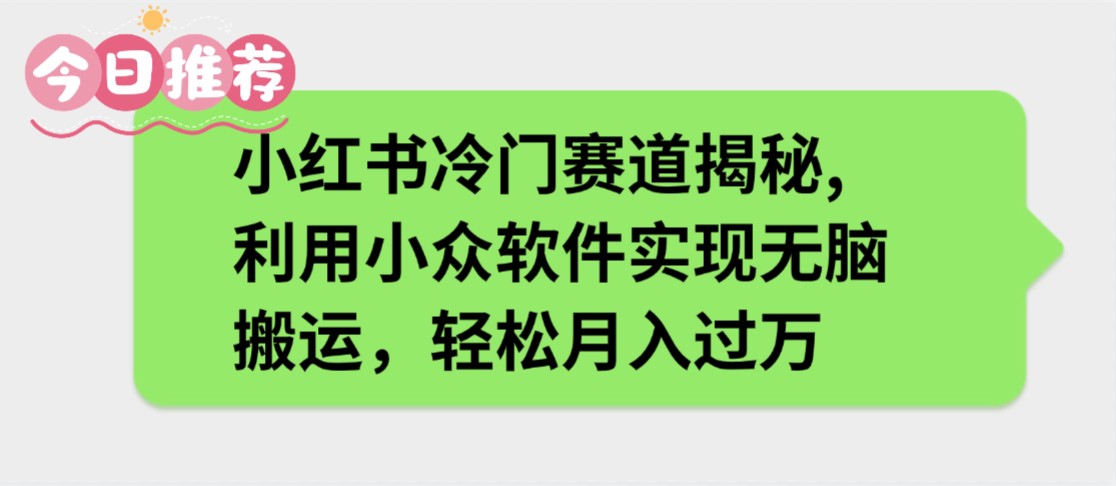 小红书冷门赛道揭秘,利用小众软件实现无脑搬运,轻松月入过万轻创网-网创项目资源站-副业项目-创业项目-搞钱项目轻创网